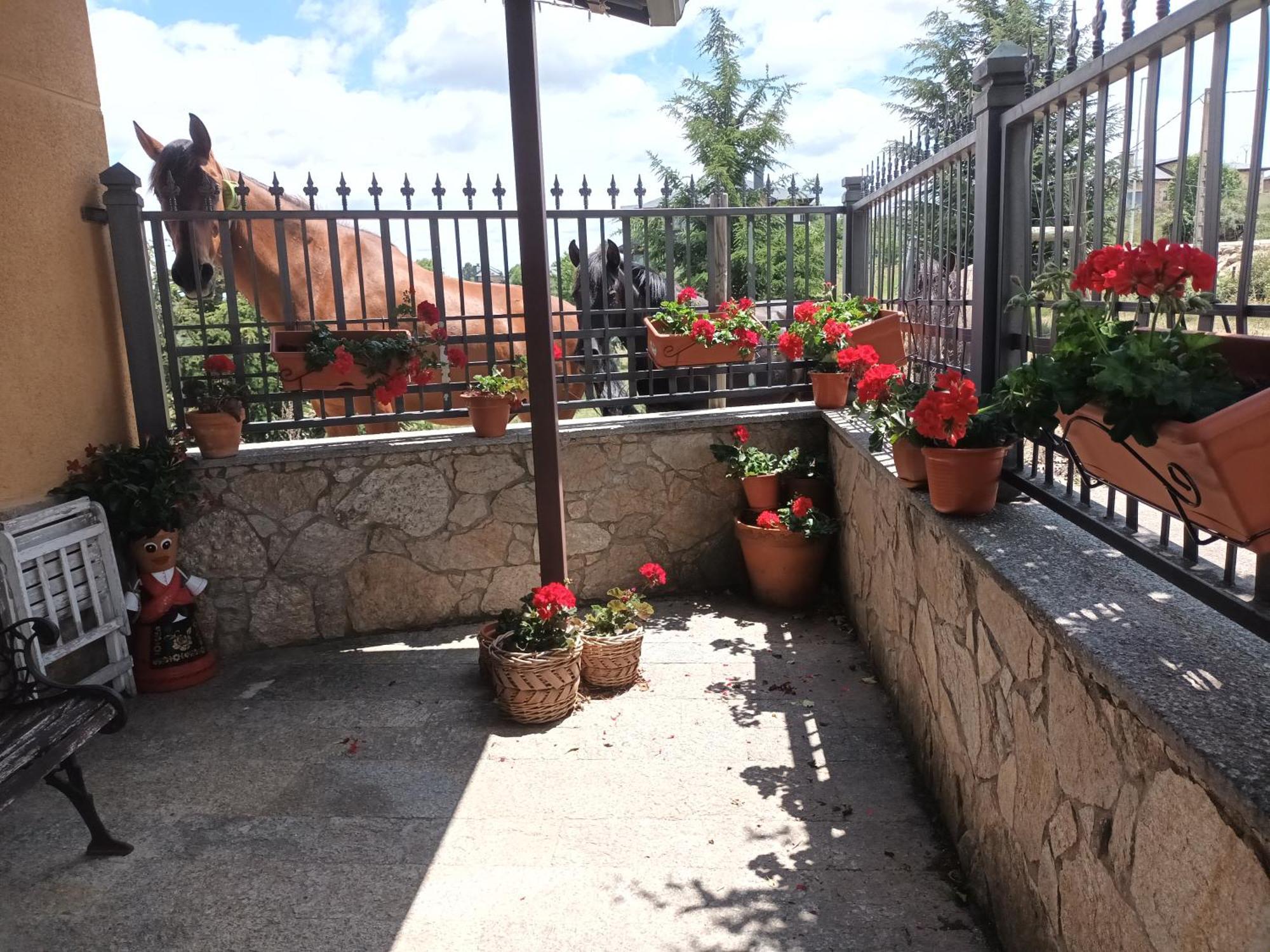푸에블라 데 사나브리아 La Artesonada Casa Con Finca 빌라 외부 사진